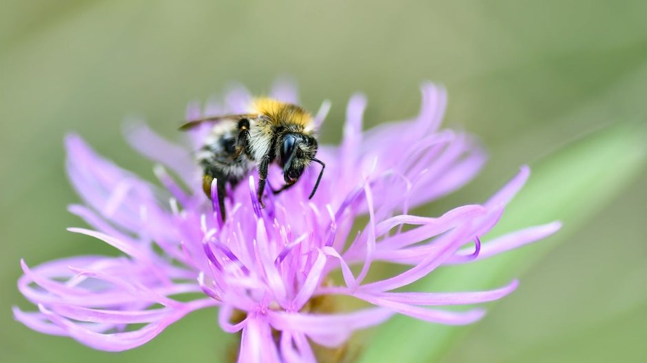 정원가꾸기 - 이미지