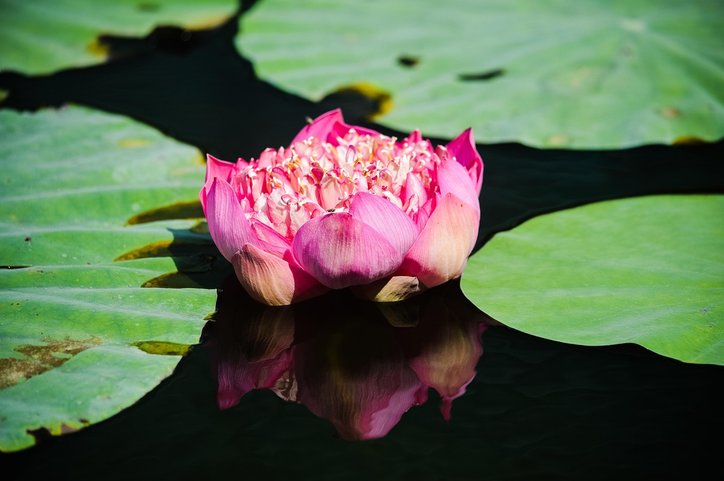 지역의료 - 이미지