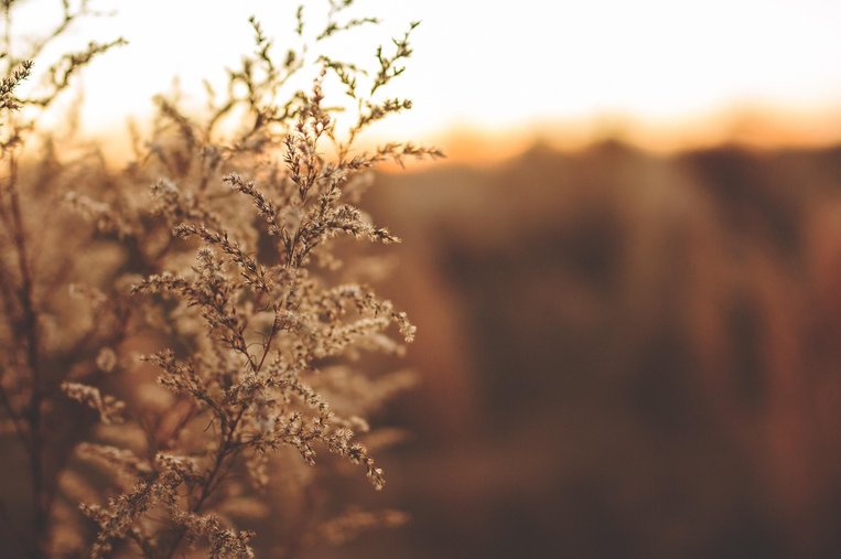 집중 환경 - 이미지