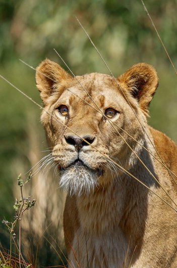 집중력 환경 - 이미지