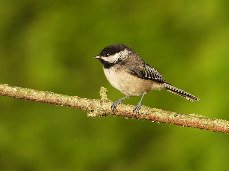 출장 사진 - 이미지