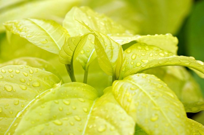 친환경제품 - 이미지