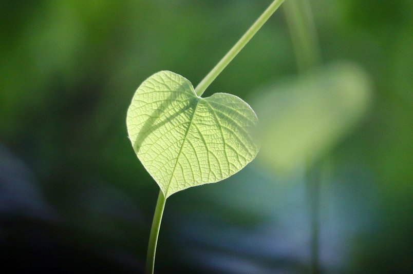 친환경제품 - 이미지