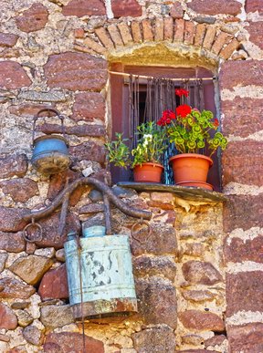 칭찬하기 - 이미지