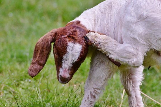 키움증권 - 이미지