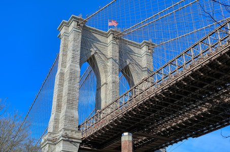 키토제닉 - 이미지