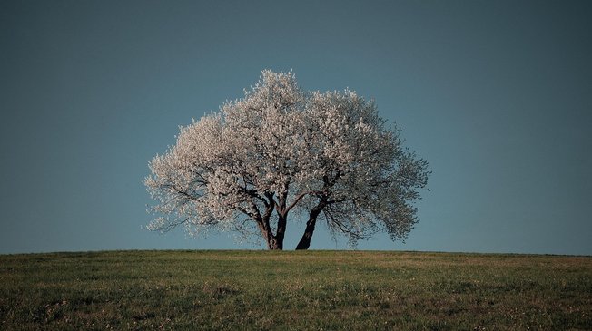 건전성 - 이미지