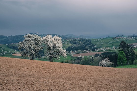 건전성 - 이미지