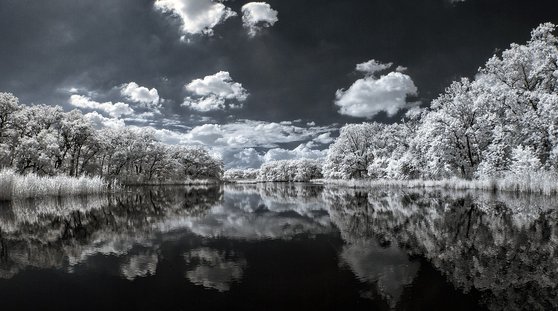 기업 IR - 이미지