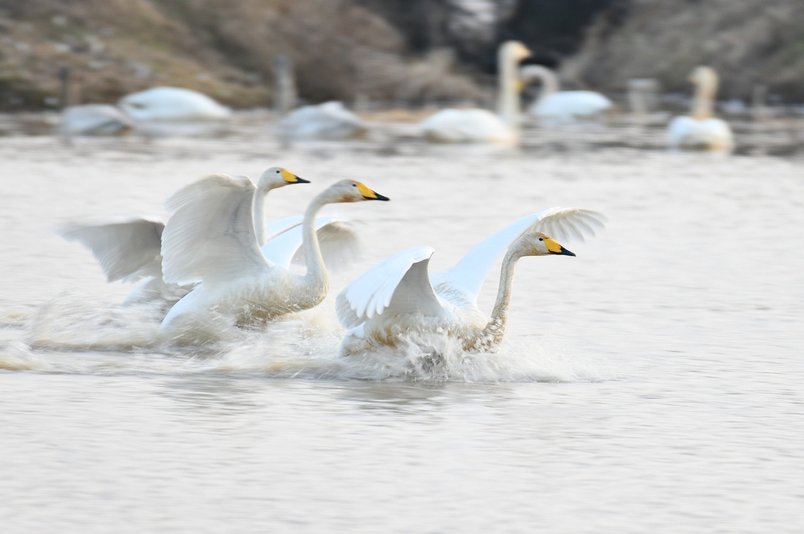 동행지표 - 이미지