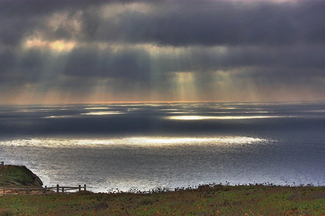 든든한 - 이미지