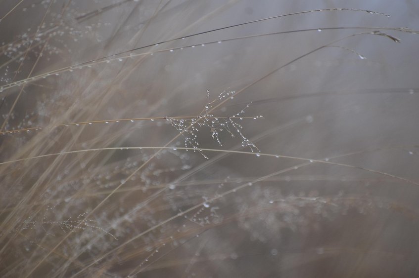 물가 하락 - 이미지