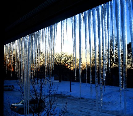 미네소타 몰 오브 아메리카 - 이미지