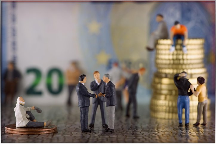 믹스견 소형 - 이미지