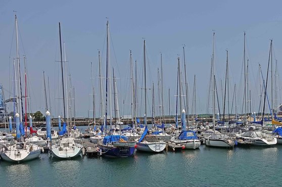 버미즈 - 이미지