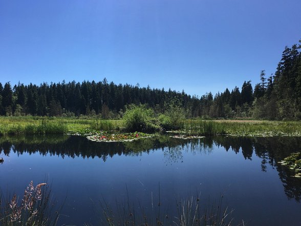 벤쿠버 스탠리 공원 - 이미지