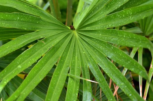 부업 병행 - 이미지