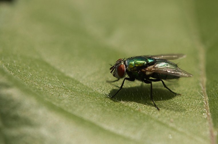 부업 병행 - 이미지