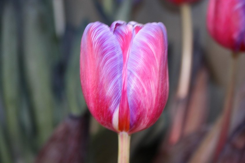 불공정 거래 - 이미지