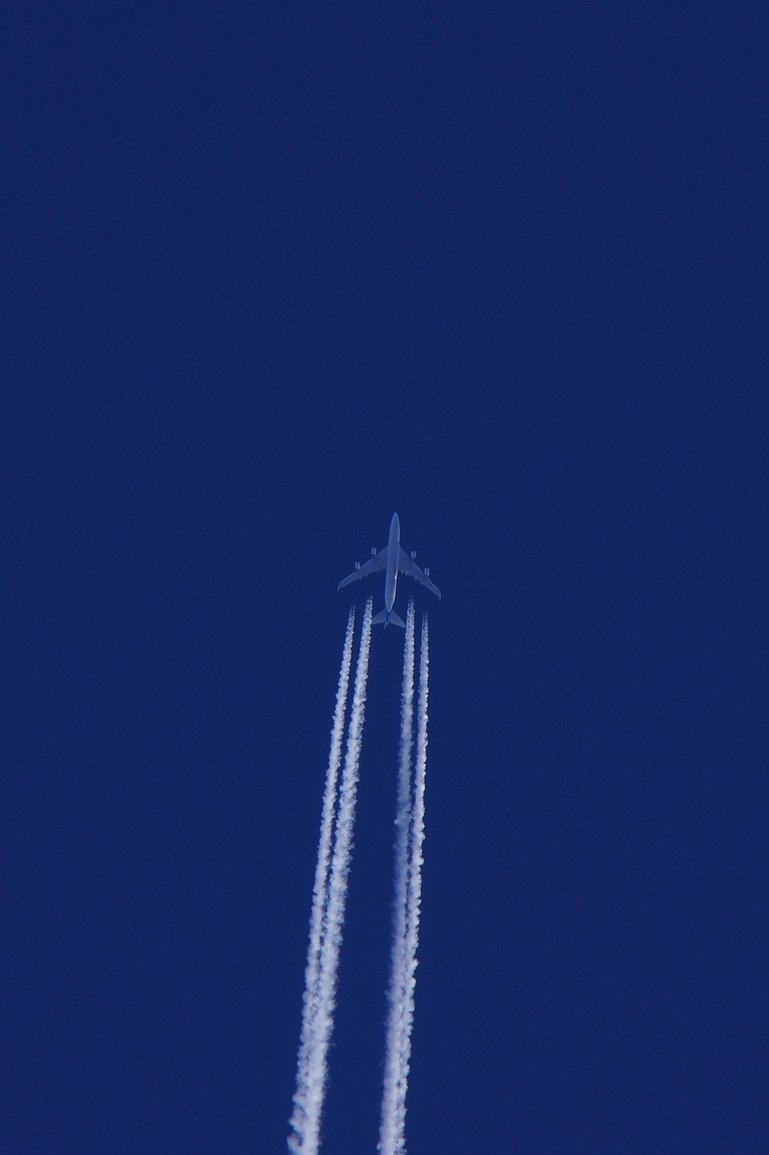 생활정보제공 - 이미지