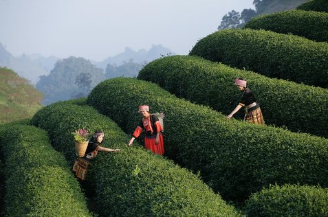 성공 경험 - 이미지