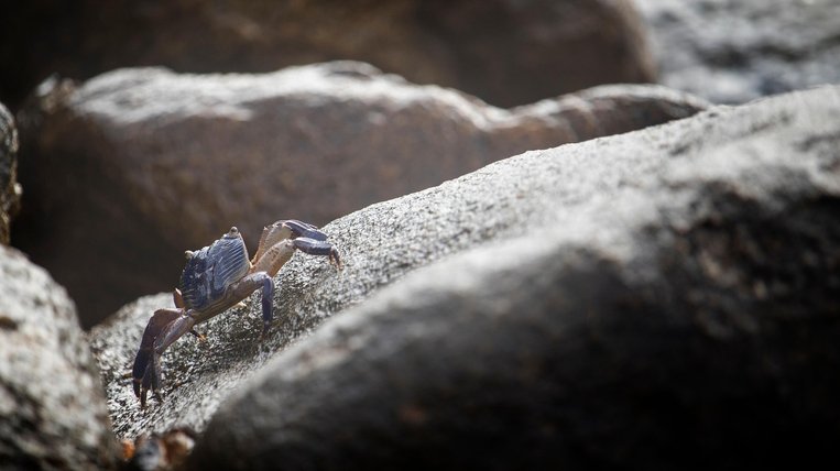 소심함 - 이미지