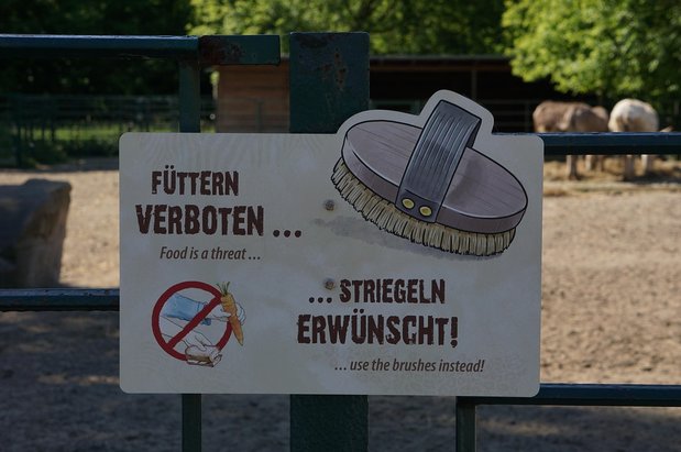 손실 허용 - 이미지