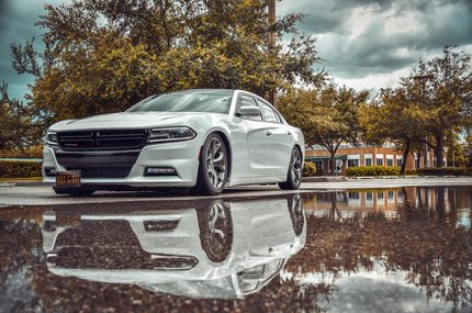 손실 회피 - 이미지