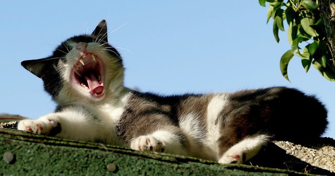 숙면팁 - 이미지