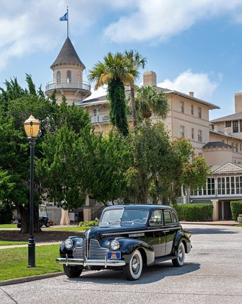 스코티쉬 스트레이트 - 이미지