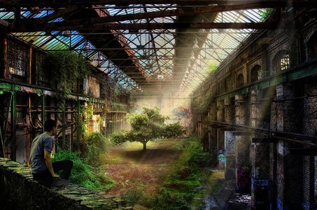 업계 트렌드 - 이미지