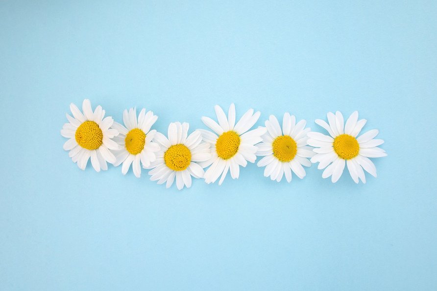 음악저작권 - 이미지