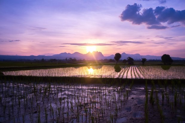 이직 시기 - 이미지