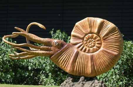 인사이트 발굴 - 이미지