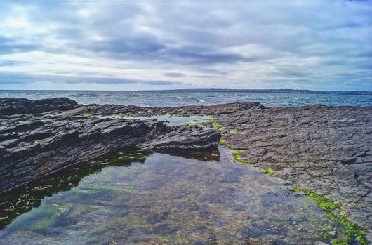 인턴십 경험 - 이미지