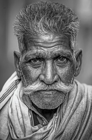 전세가율 - 이미지