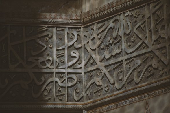 정보공유 - 이미지