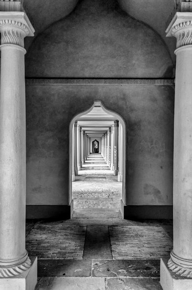 제페니즈 친 - 이미지