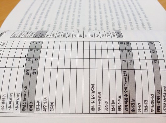 지출 분석 - 이미지