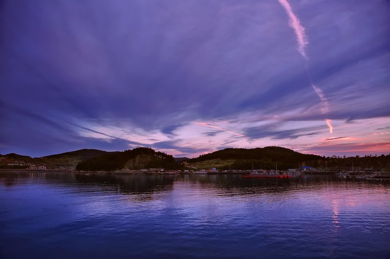 진도 믹스 - 이미지