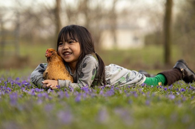 칸쿤 치첸 이차 - 이미지