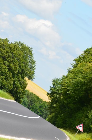 커리어 로드맵 - 이미지