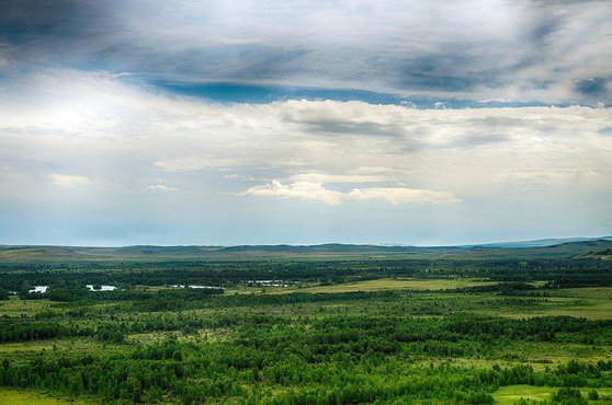 코카시안 오브차카 - 이미지