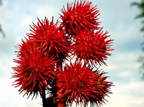 패닉 어택 - 이미지