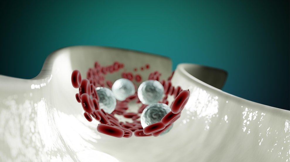 혈액 순환 - 이미지