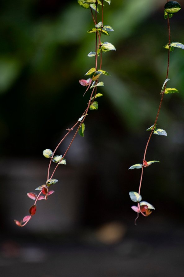 후행지표 - 이미지