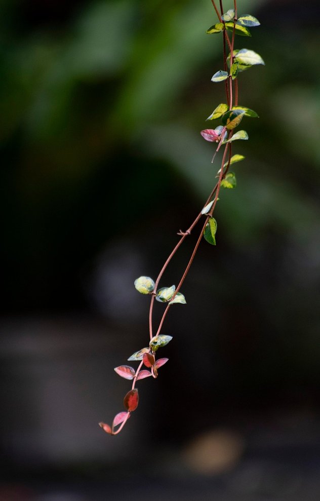 후행지표 - 이미지