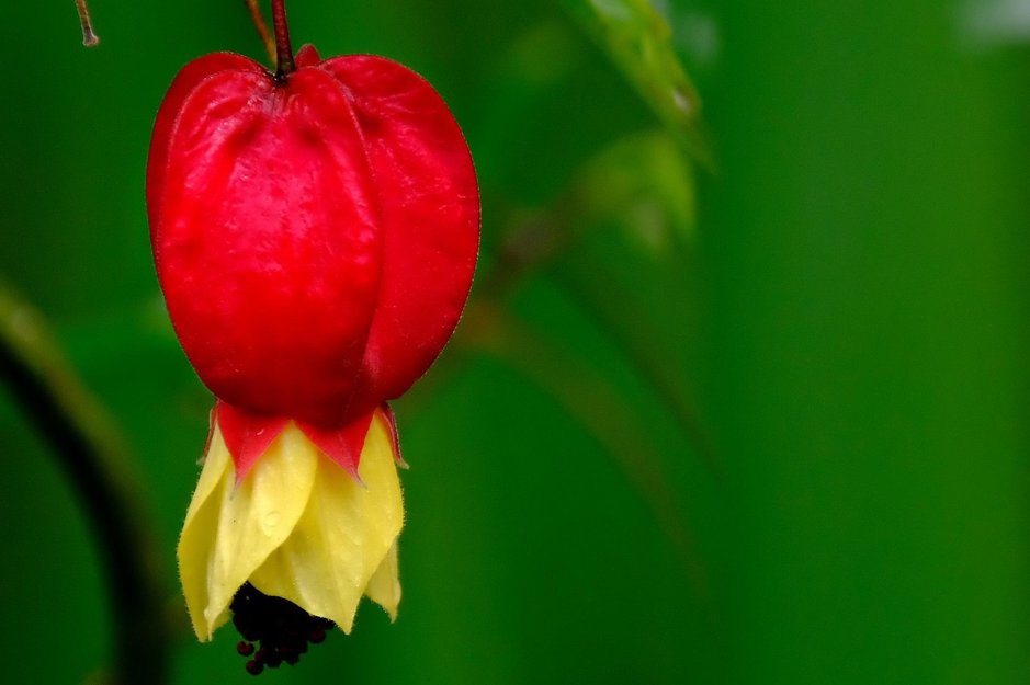 후행지표 - 이미지