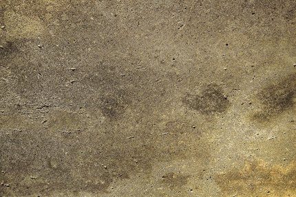 구조화 - 이미지