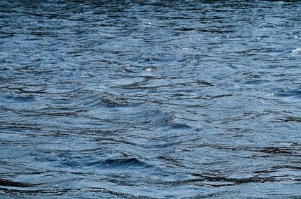 급등주 - 이미지